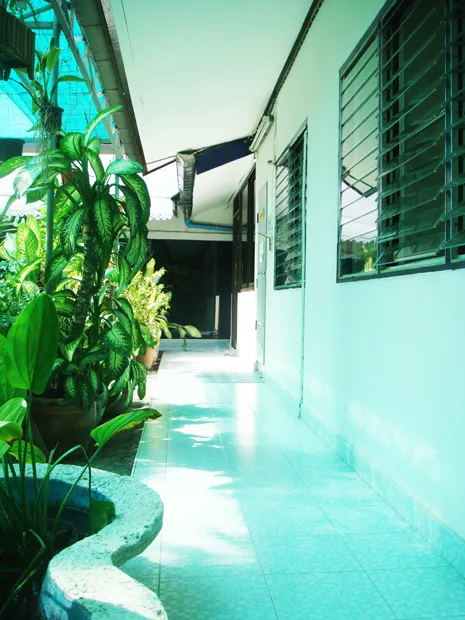 ECT_img (9)