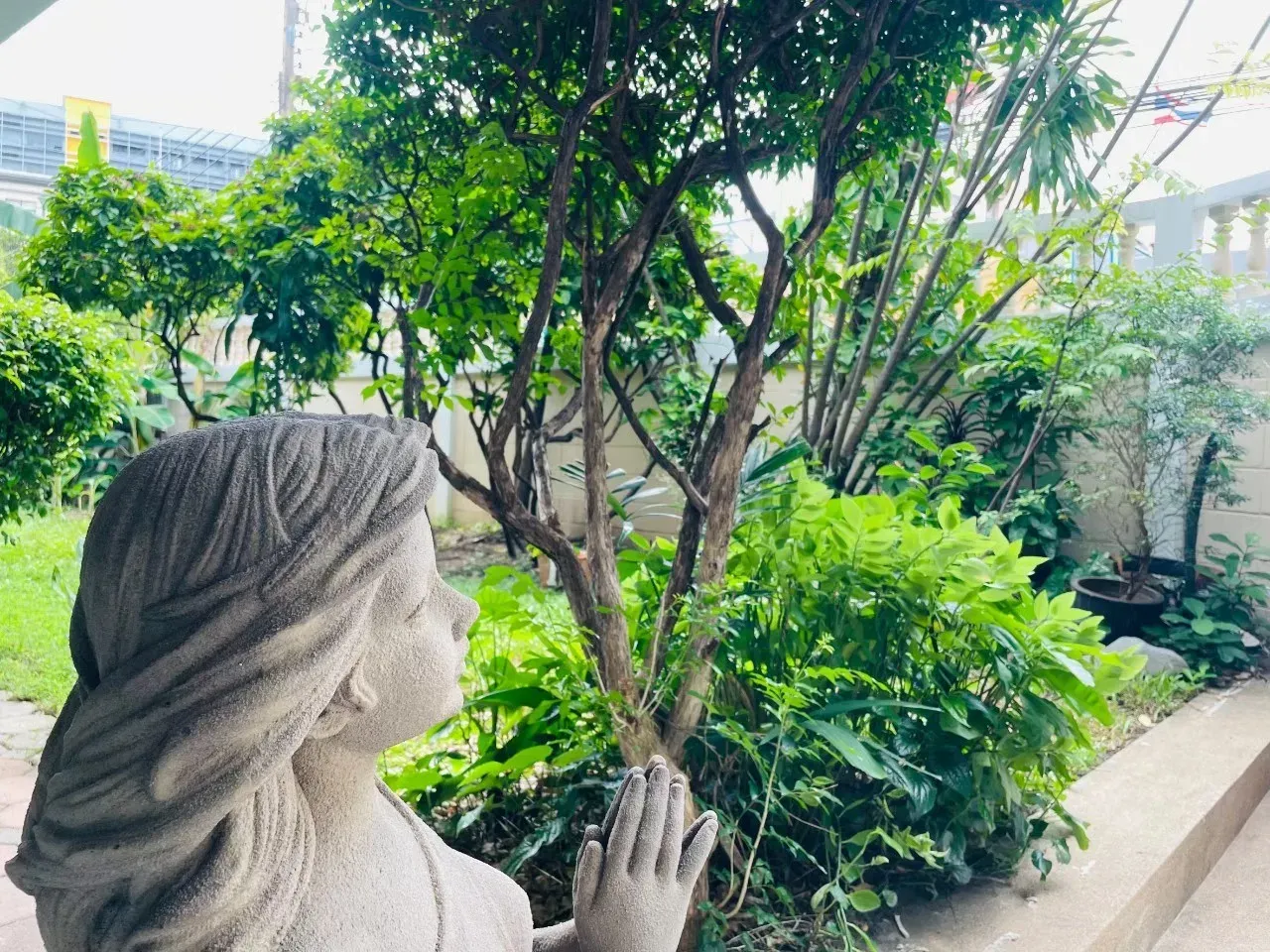 bkk_NH-ram9 (11)